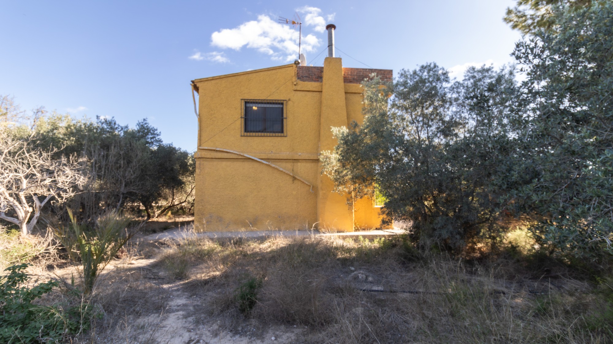 Casas o chalets-Venta-Elche-1970224-Foto-17