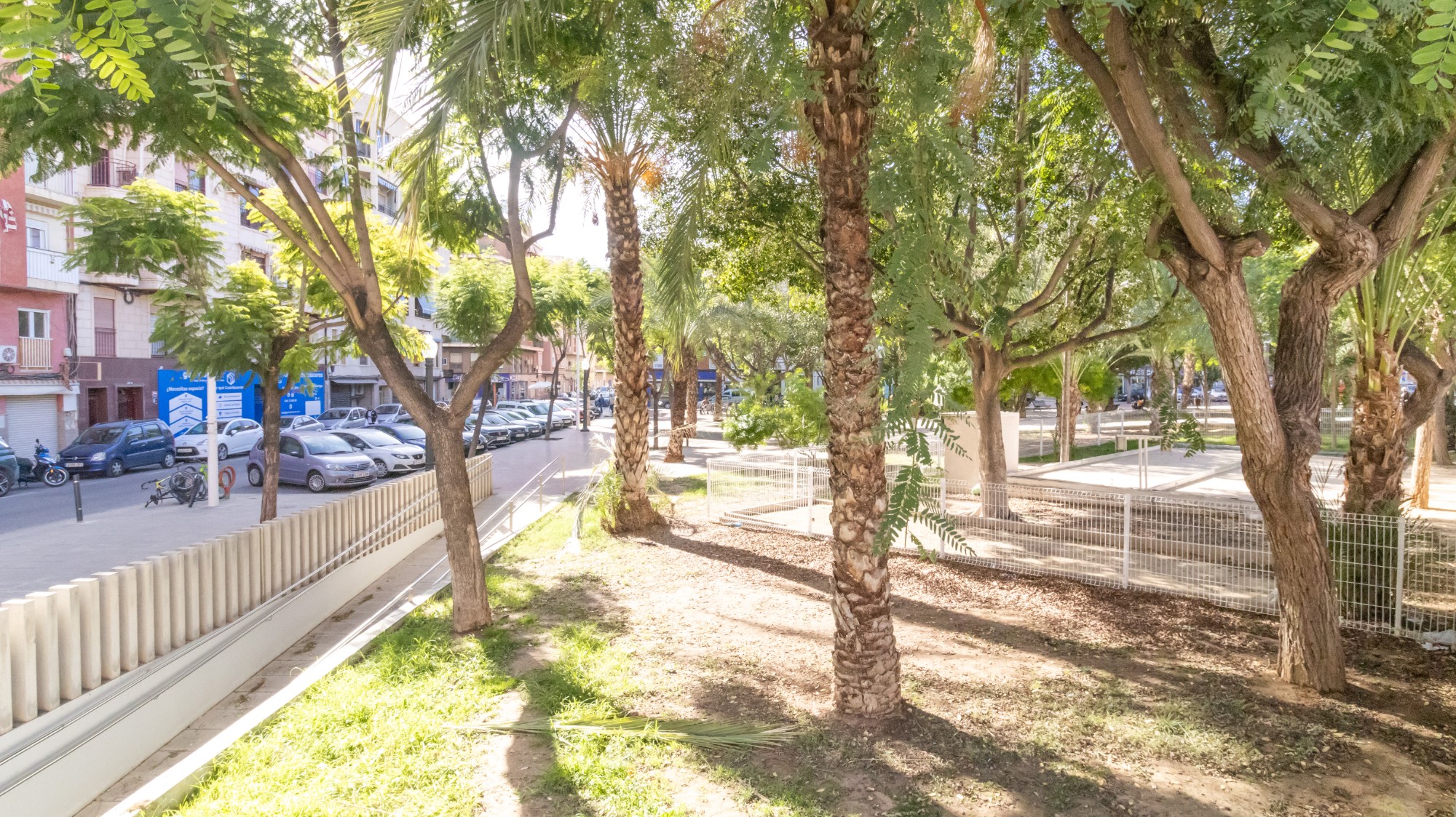 Pisos-Venta-Elche-1973054-Foto-49