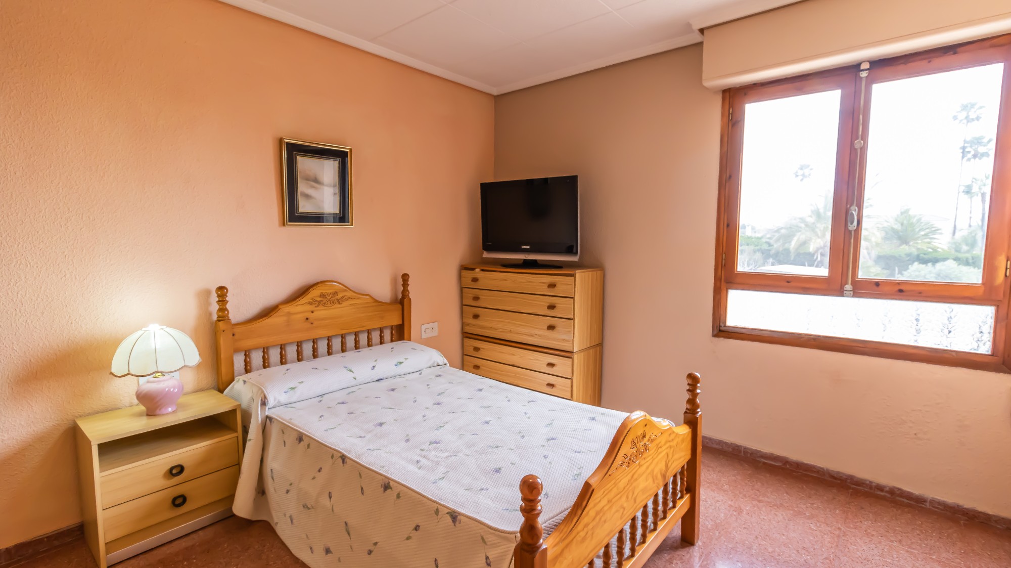 Casas o chalets-Venta-Elche-2153184-Foto-48
