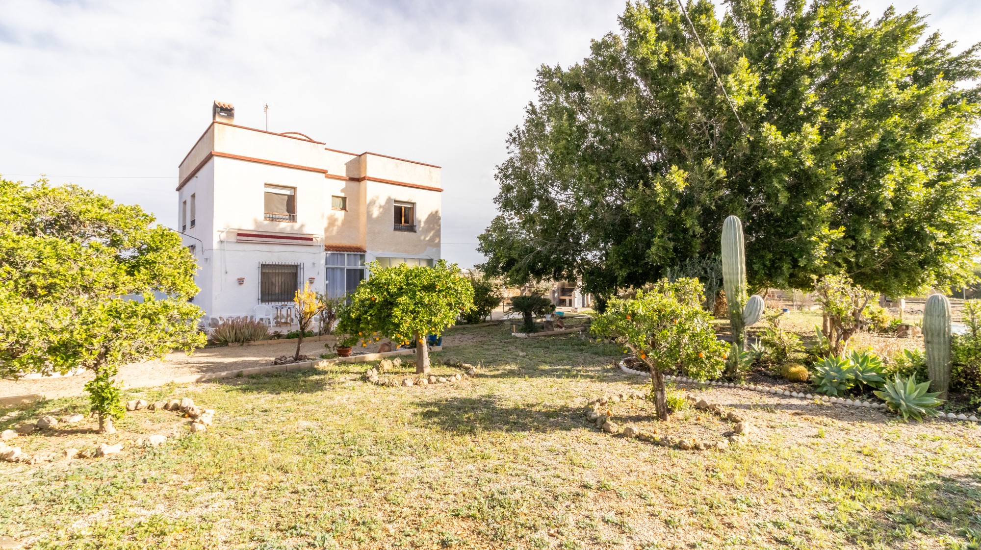 Casas o chalets-Venta-Elche-2153184