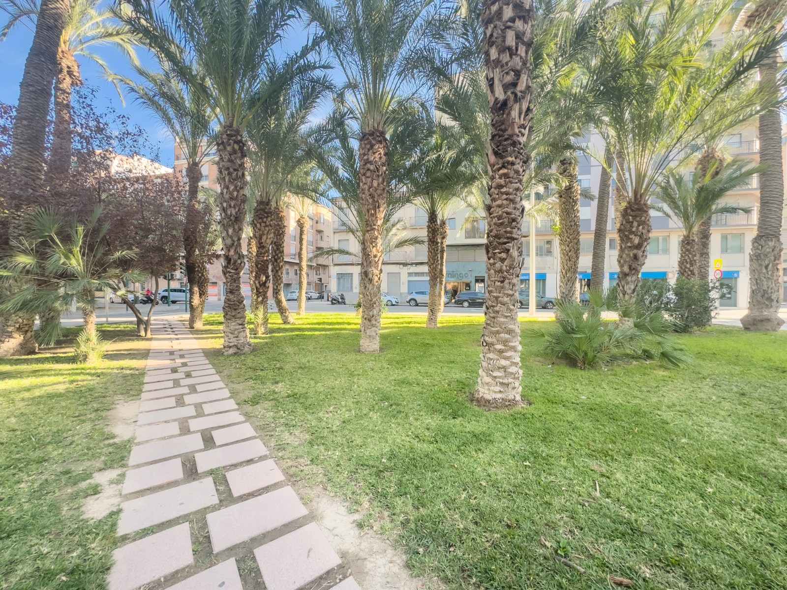 Pisos-Venta-Elche-2333304-Foto-40