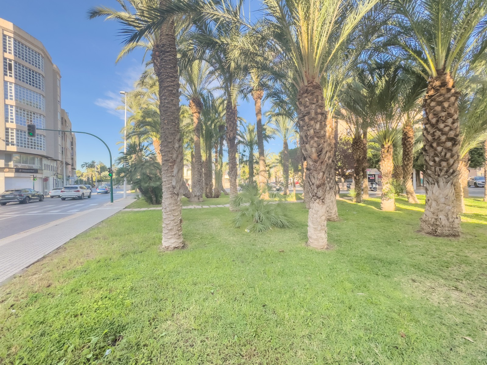 Pisos-Venta-Elche-2333304-Foto-38