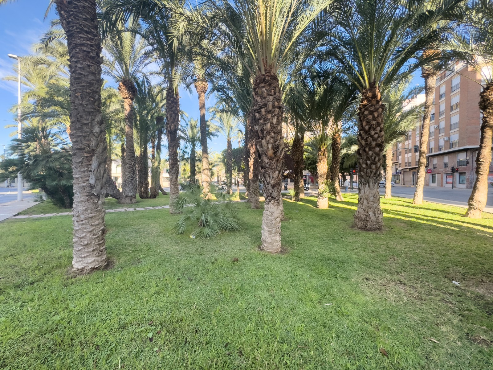 Pisos-Venta-Elche-2333304-Foto-39