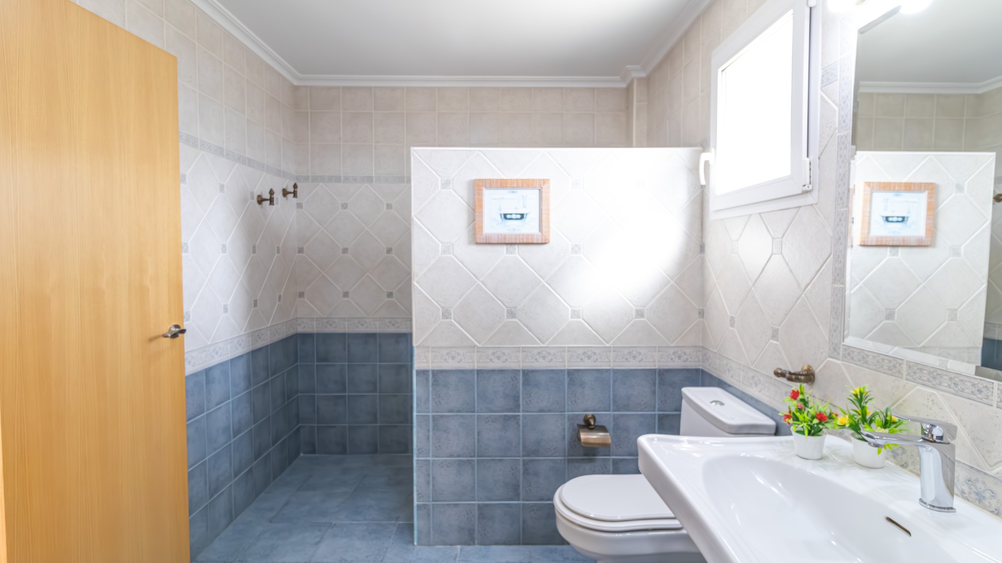Casas o chalets-Venta-Elche-2256314-Foto-49