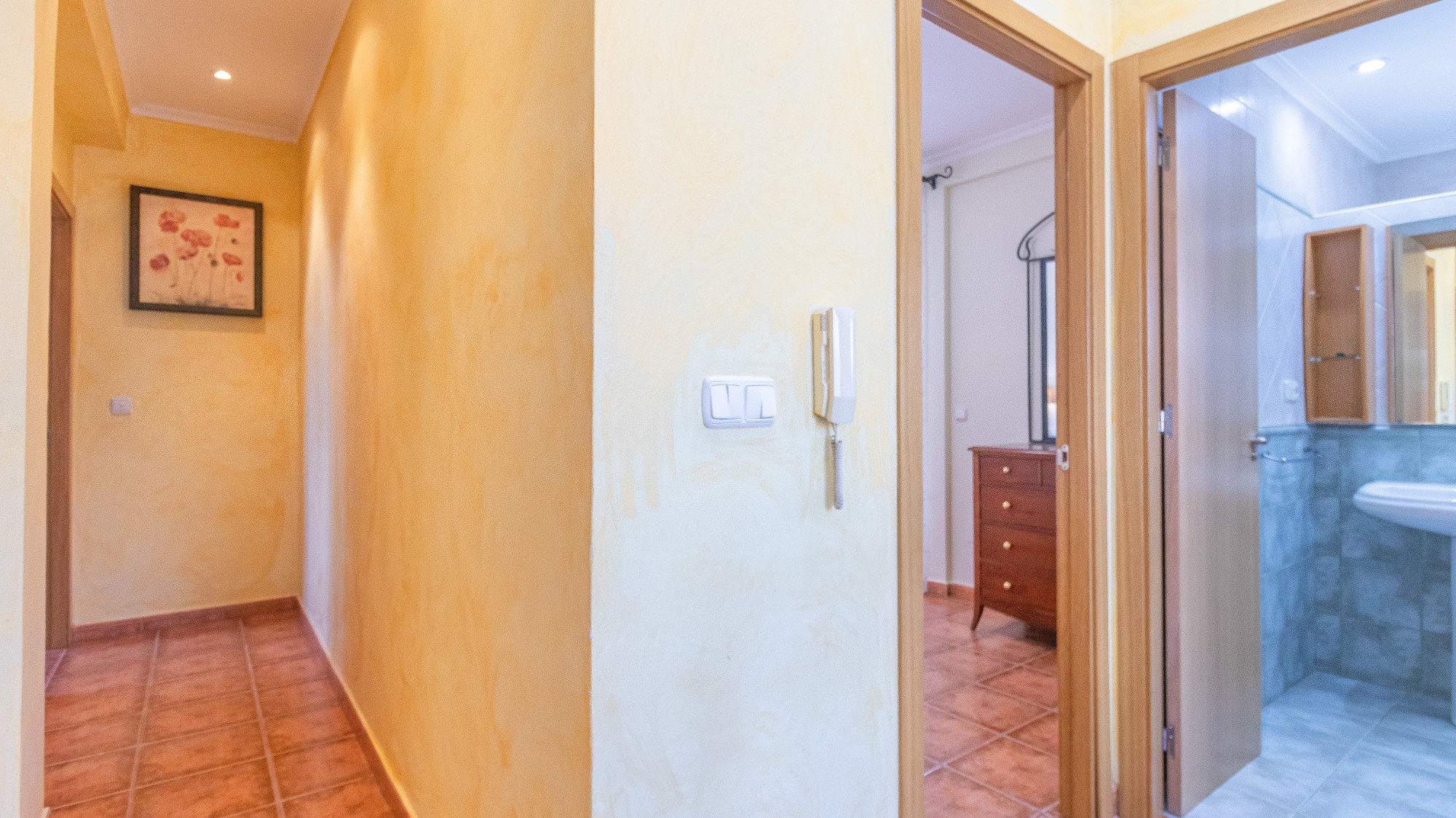 Casas o chalets-Venta-Elche-2256314-Foto-41