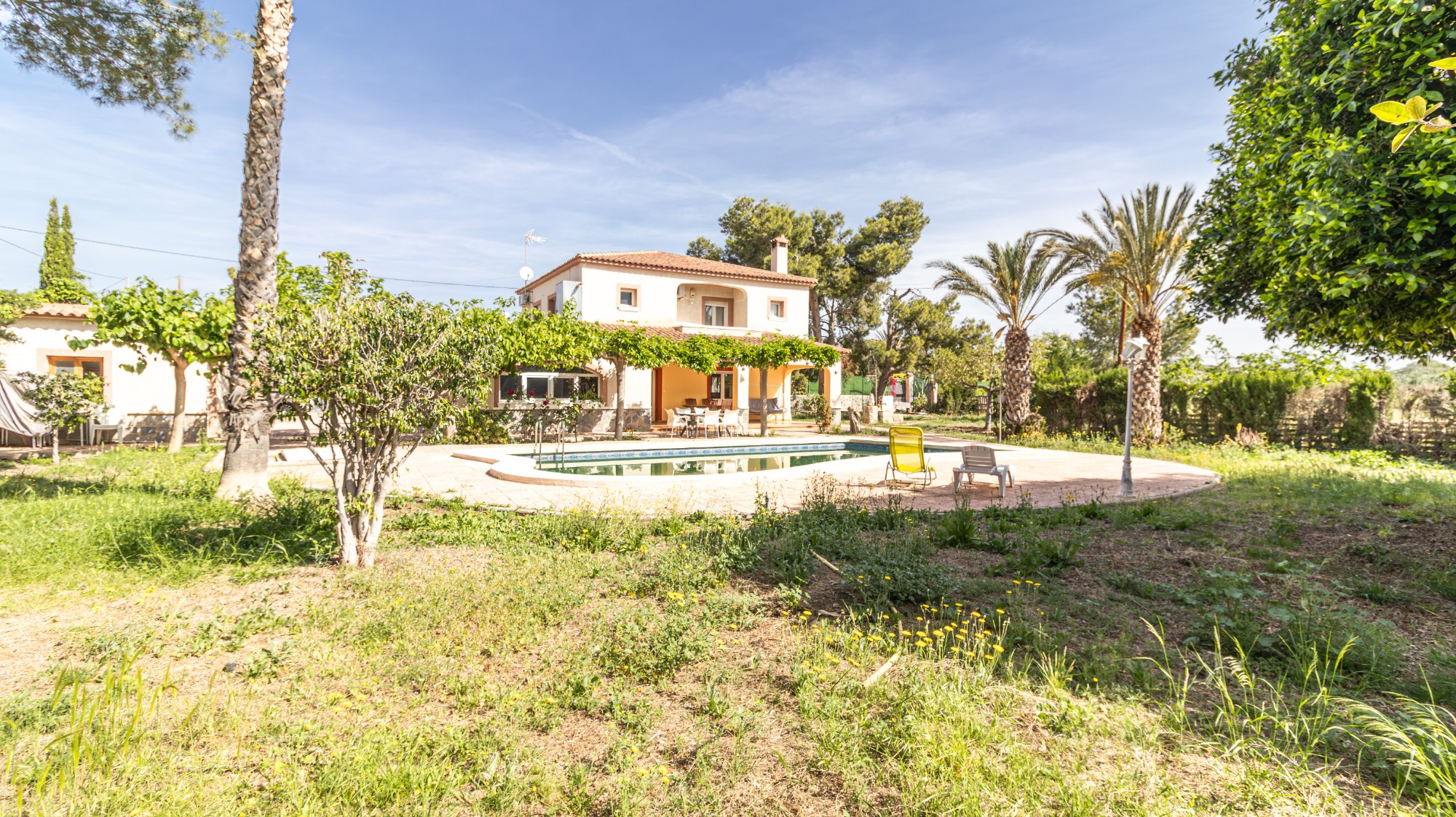Casas o chalets-Venta-Elche-2256314-Foto-5
