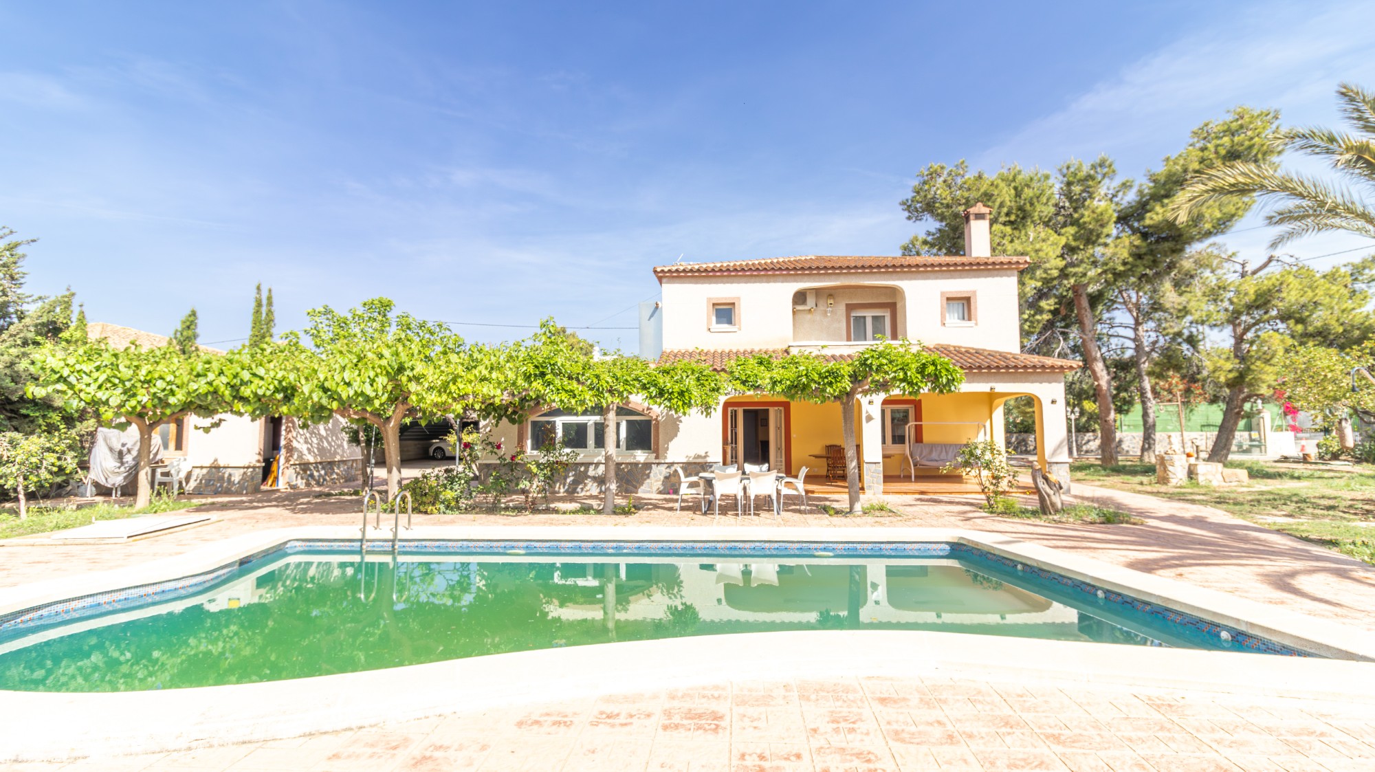 Casas o chalets-Venta-Elche-2256314-Foto-4