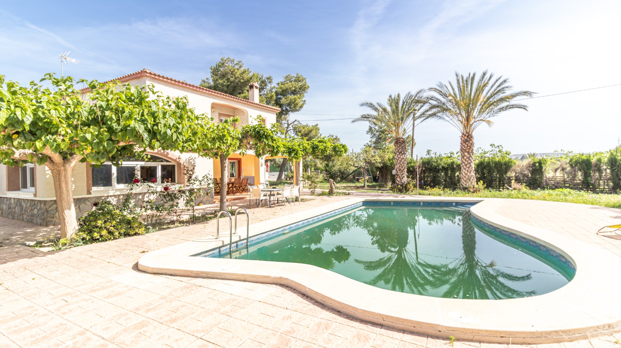 Casas o chalets-Venta-Elche-2256314-Foto-6