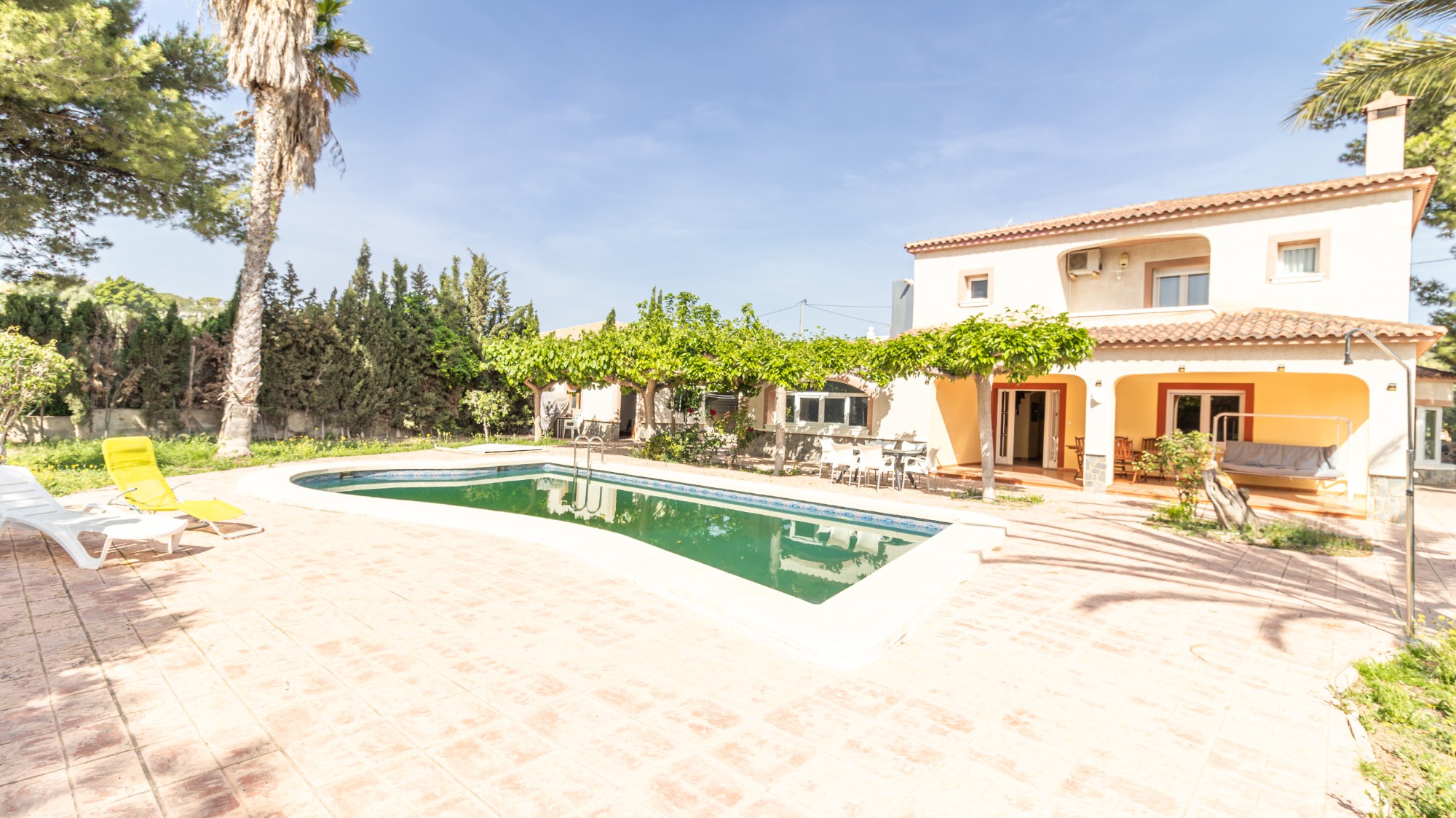 Casas o chalets-Venta-Elche-2256314-Foto-3
