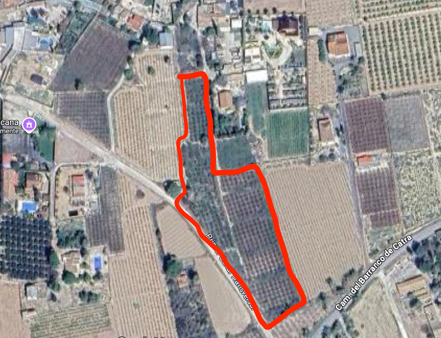Fincas y solares-Venta-Elche-2291826