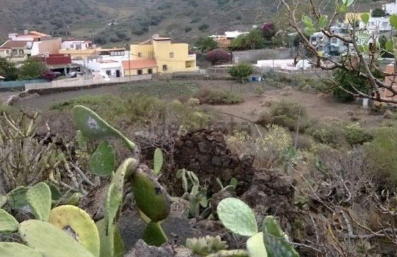 Venta - Casas o chalets - Las Palmas de Gran Canaria - Viña