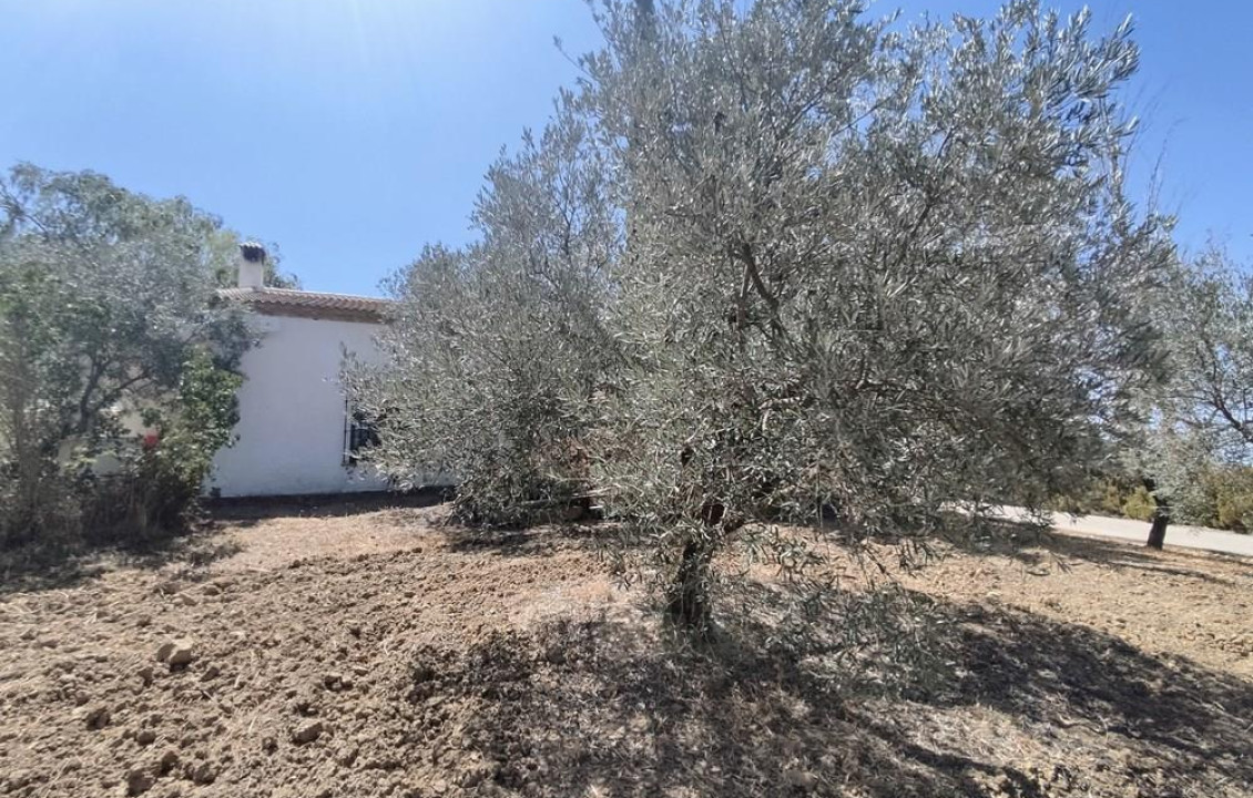 Venta - Casas o chalets - Villanueva de la Concepción - Partido del Alcornocal, Antequera