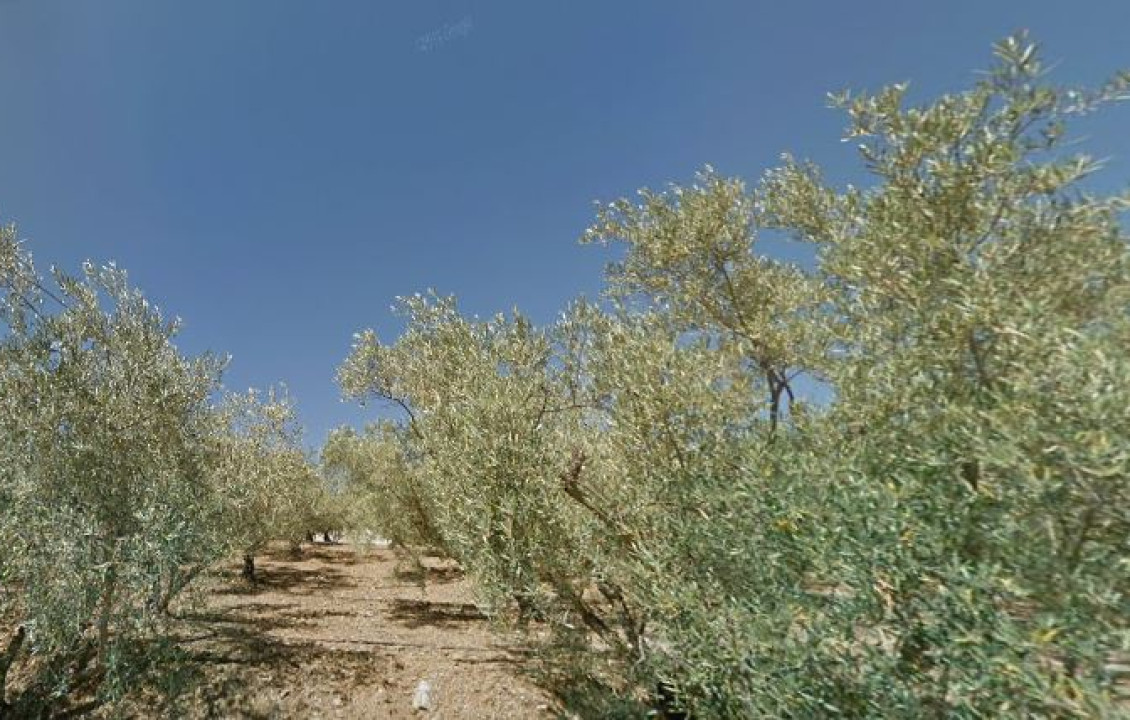 Venta - Fincas y solares - Cártama - Carretera de los Carril de la Loma