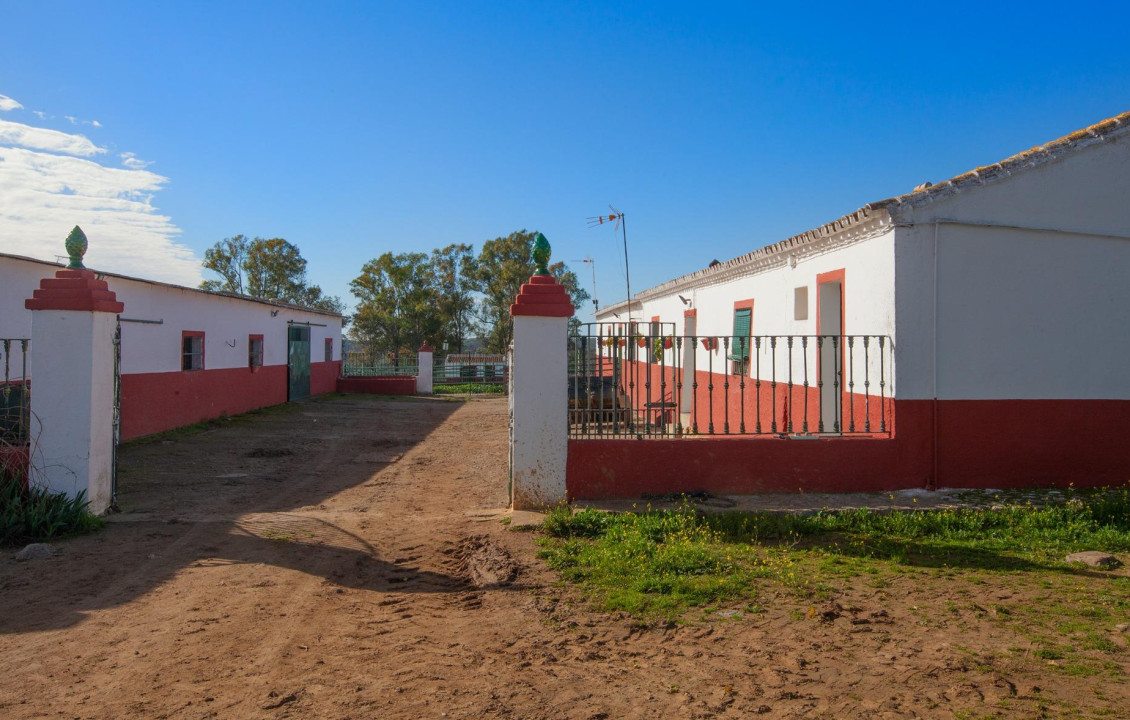 For Sale - Fincas y solares - Castilblanco de los Arroyos - Finca El Granero