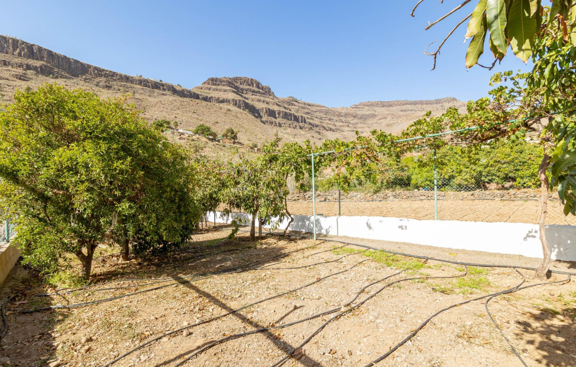 For Sale - Fincas y solares - San Bartolomé de Tirajana - AYAGAURES