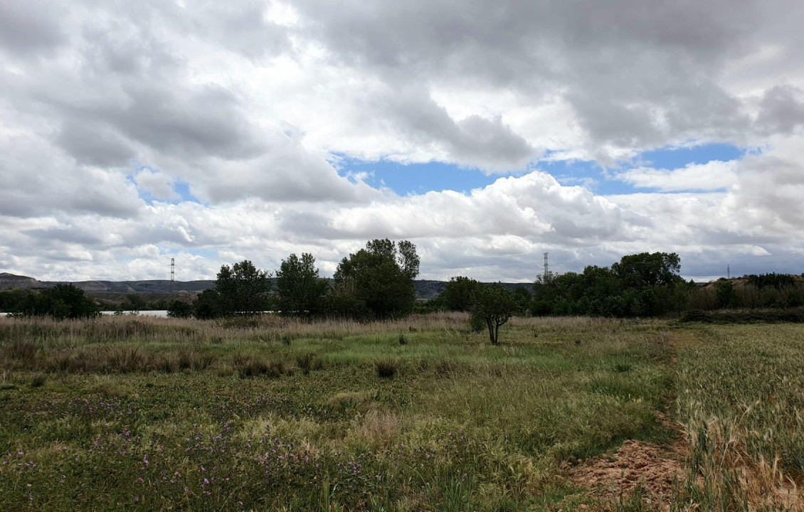 Venta - Casas o chalets - Muel - Plaza de los Mártires