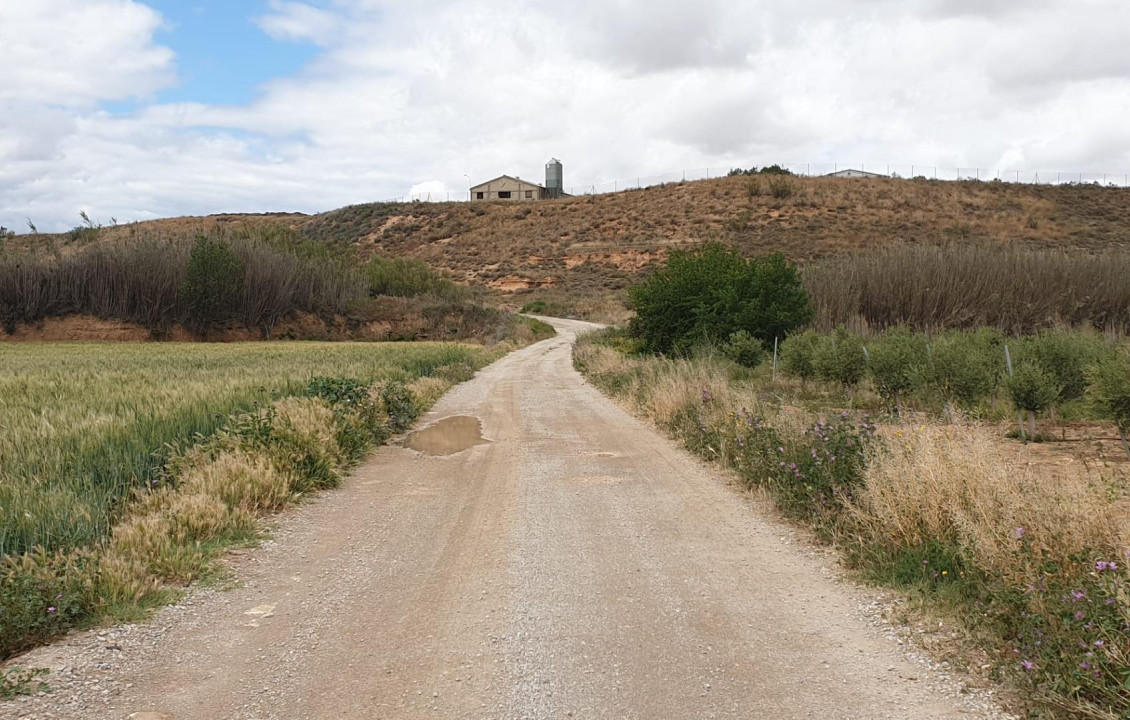 Venta - Casas o chalets - Muel - Plaza de los Mártires