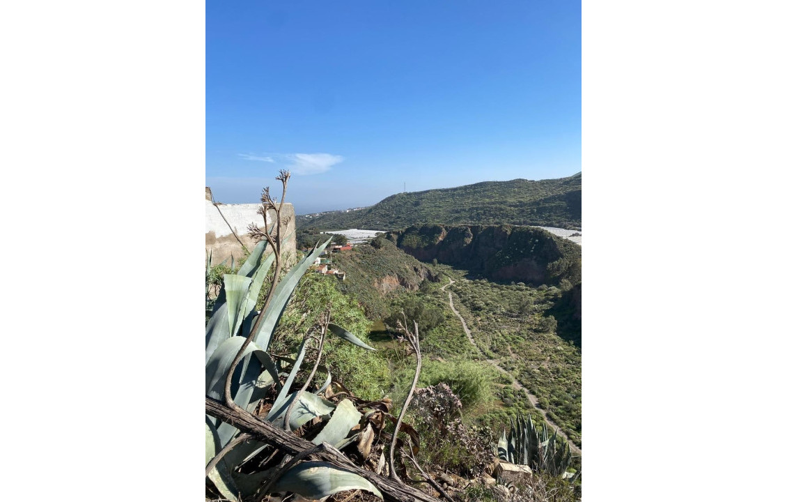 Venta - Fincas y solares - Valsequillo de Gran Canaria - Calle del Canario