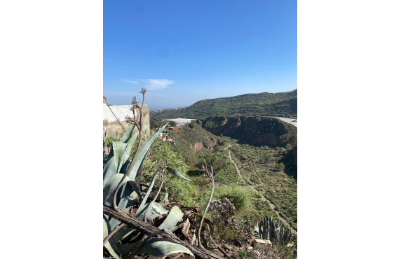 Venta - Fincas y solares - Valsequillo de Gran Canaria - Calle del Canario