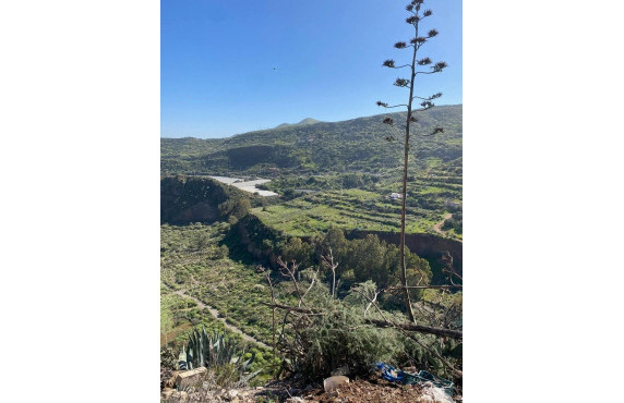 Venta - Fincas y solares - Valsequillo de Gran Canaria - Calle del Canario