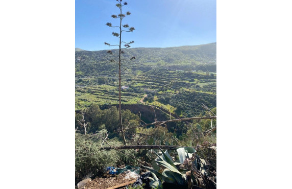 Venta - Fincas y solares - Valsequillo de Gran Canaria - Calle del Canario