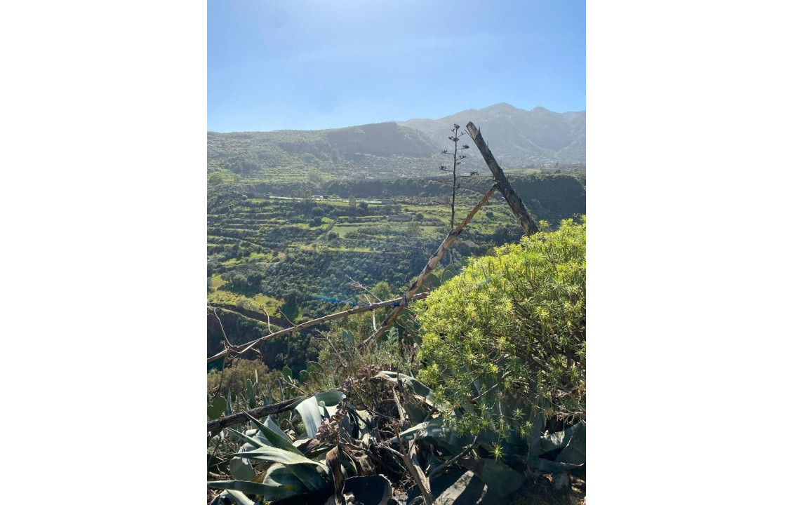 Venta - Fincas y solares - Valsequillo de Gran Canaria - Calle del Canario
