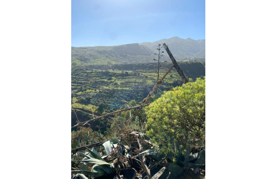 Venta - Fincas y solares - Valsequillo de Gran Canaria - Calle del Canario