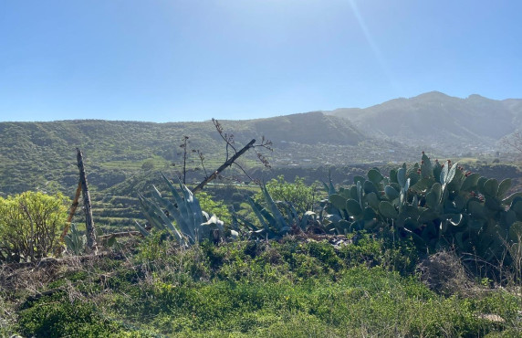 Venta - Fincas y solares - Valsequillo de Gran Canaria - Calle del Canario