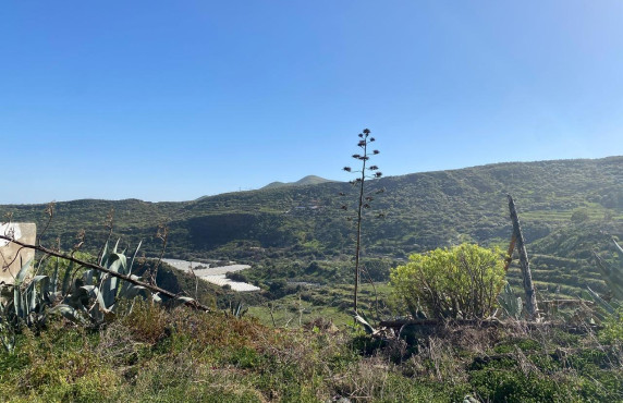 Venta - Fincas y solares - Valsequillo de Gran Canaria - Calle del Canario