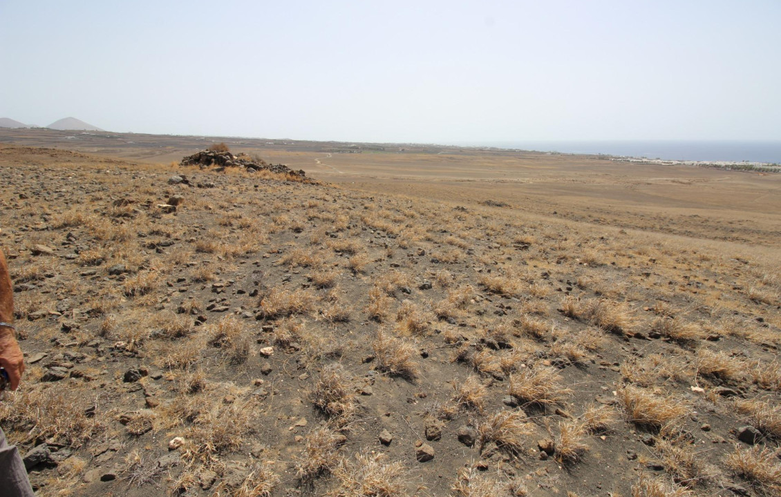 Venta - Fincas y solares - Yaiza - Camino Cortijo Viejo