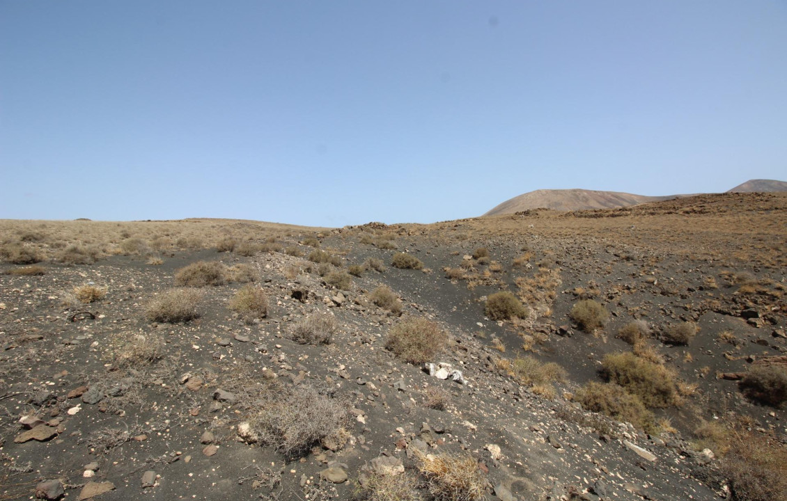 Venta - Fincas y solares - Yaiza - Camino Cortijo Viejo