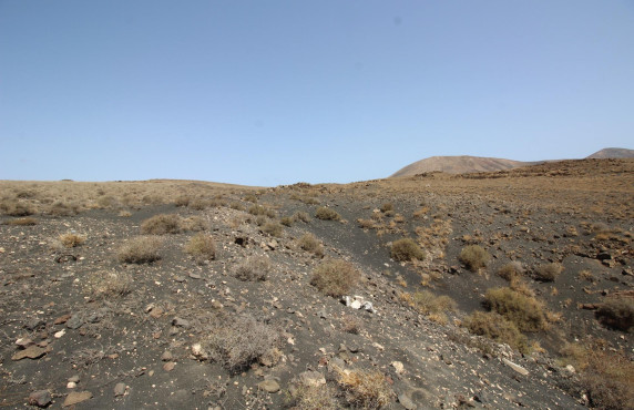 Venta - Fincas y solares - Yaiza - Camino Cortijo Viejo