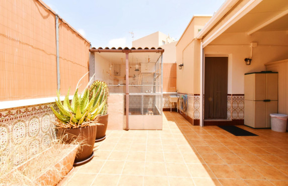 Venta - Casas o chalets - El Ejido - Calle de Francisco Villaespesa