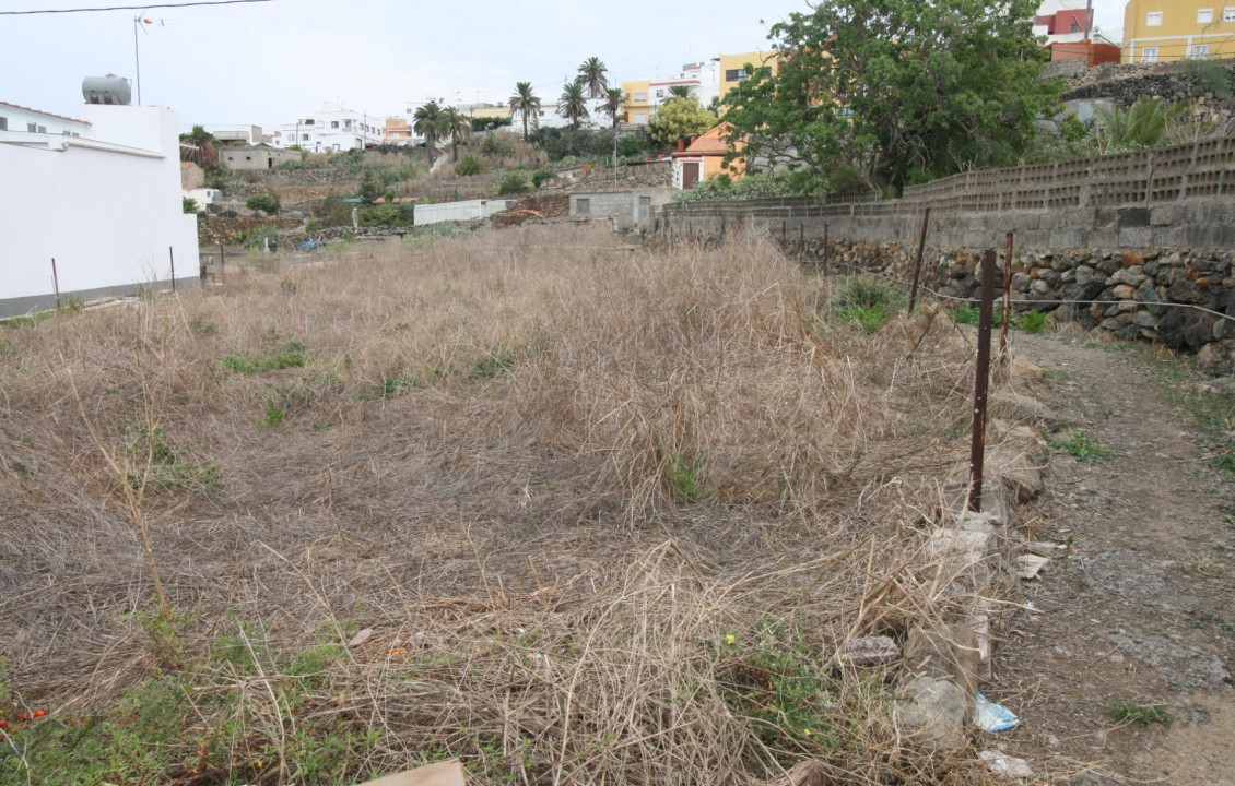 Venta - Fincas y solares - Moya - Camino del Frontón