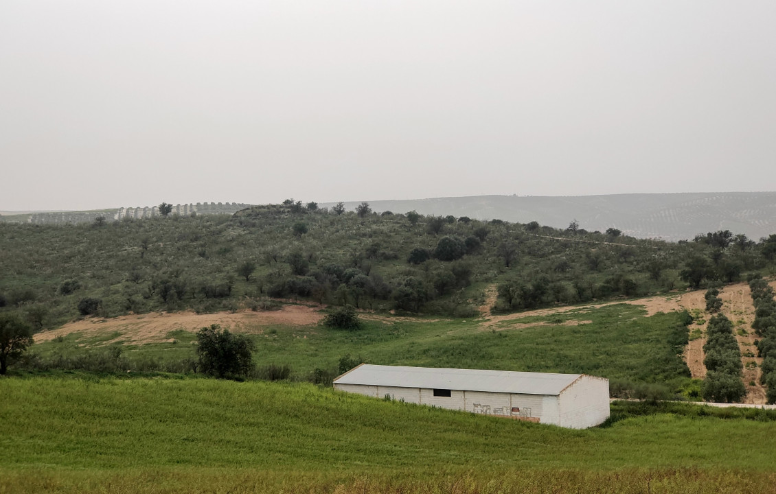 Venta - Fincas y solares - Alameda - poligono 7 parcela 1, Baqueta-Alameda