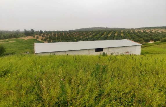 Venta - Fincas y solares - Alameda - poligono 7 parcela 1, Baqueta-Alameda