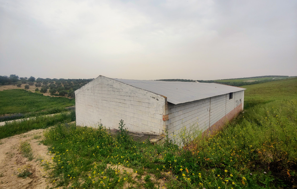 Venta - Fincas y solares - Alameda - poligono 7 parcela 1, Baqueta-Alameda