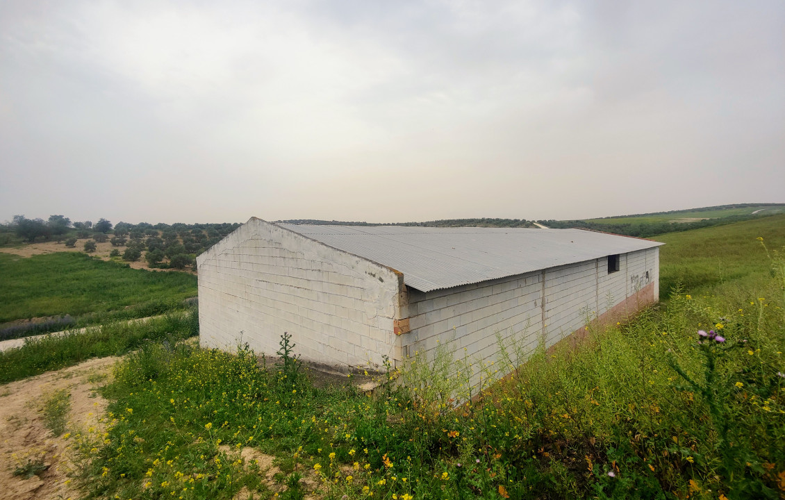 Venta - Fincas y solares - Alameda - poligono 7 parcela 1, Baqueta-Alameda