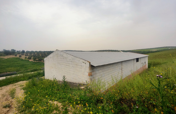 Venta - Fincas y solares - Alameda - poligono 7 parcela 1, Baqueta-Alameda