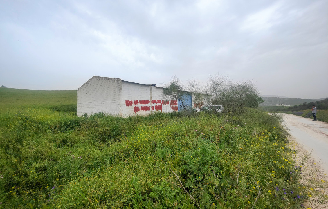 Venta - Fincas y solares - Alameda - poligono 7 parcela 1, Baqueta-Alameda