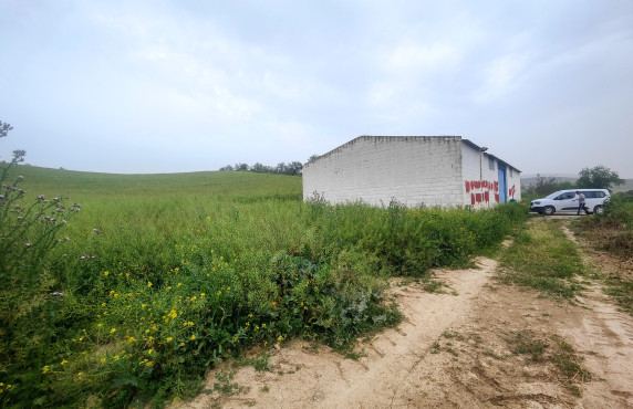 Venta - Fincas y solares - Alameda - poligono 7 parcela 1, Baqueta-Alameda