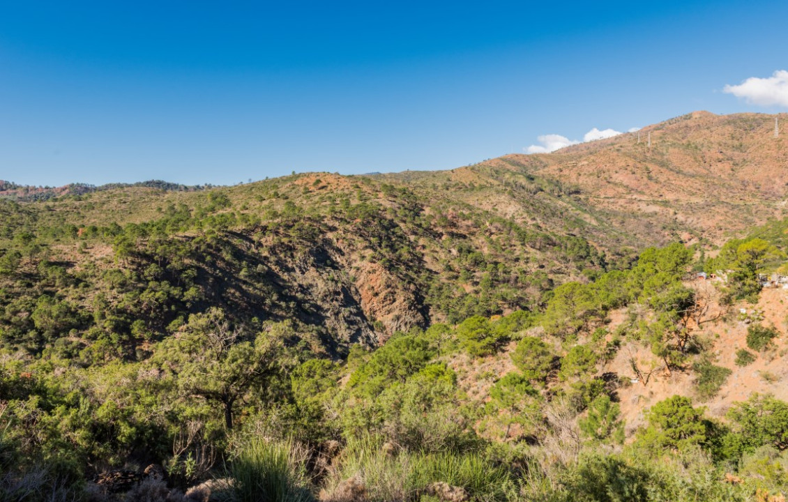 Venta - Fincas y solares - Benahavís - Urbanizacion Montemayor Alto, C26