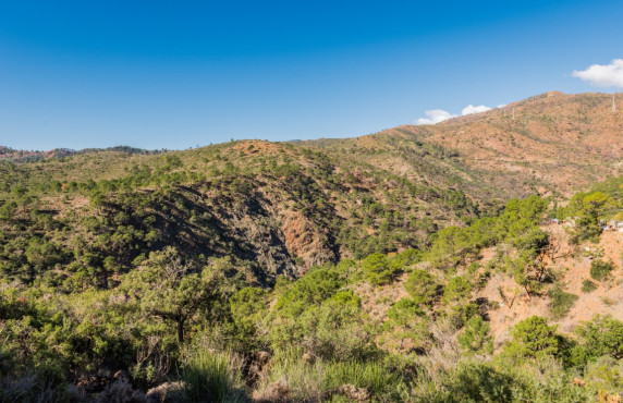 Venta - Fincas y solares - Benahavís - Urbanizacion Montemayor Alto, C26