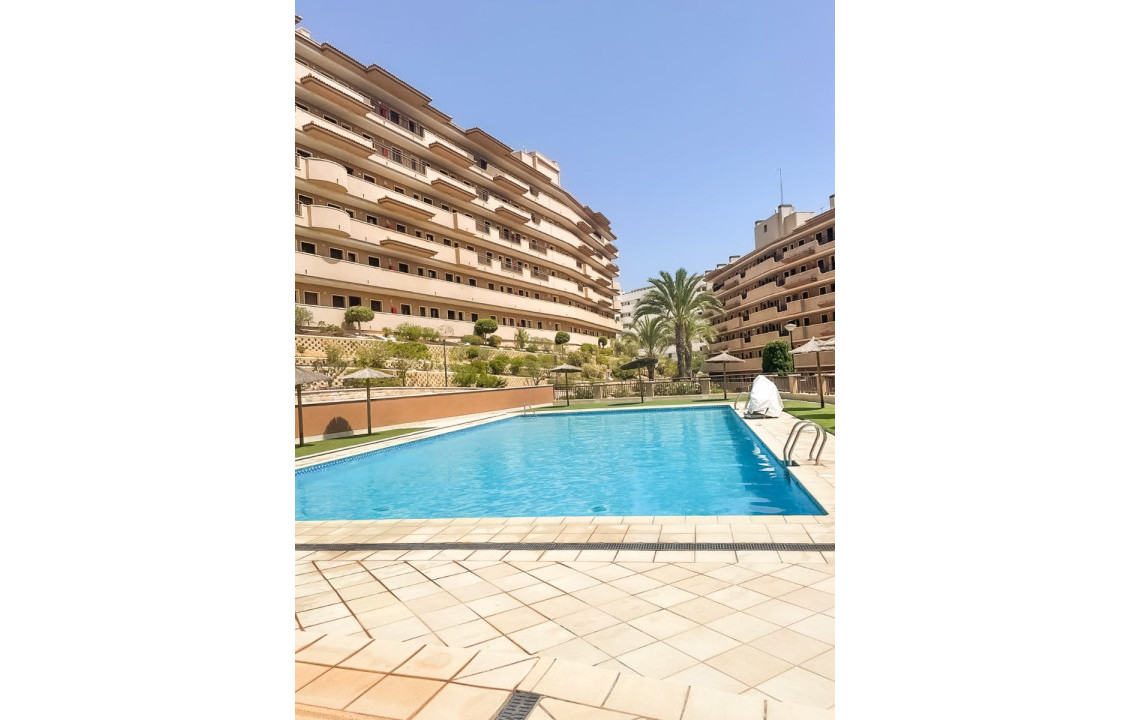 Long Rental Period - Apartment - Arenales del sol - Costa Blanca