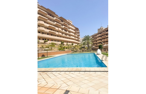 Long Rental Period - Apartment - Arenales del sol - Costa Blanca