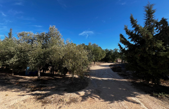 For Sale - Fincas y solares - Elche - Altabix