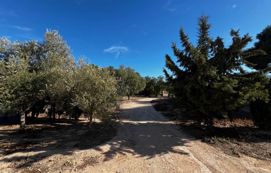 For Sale - Fincas y solares - Elche - Altabix