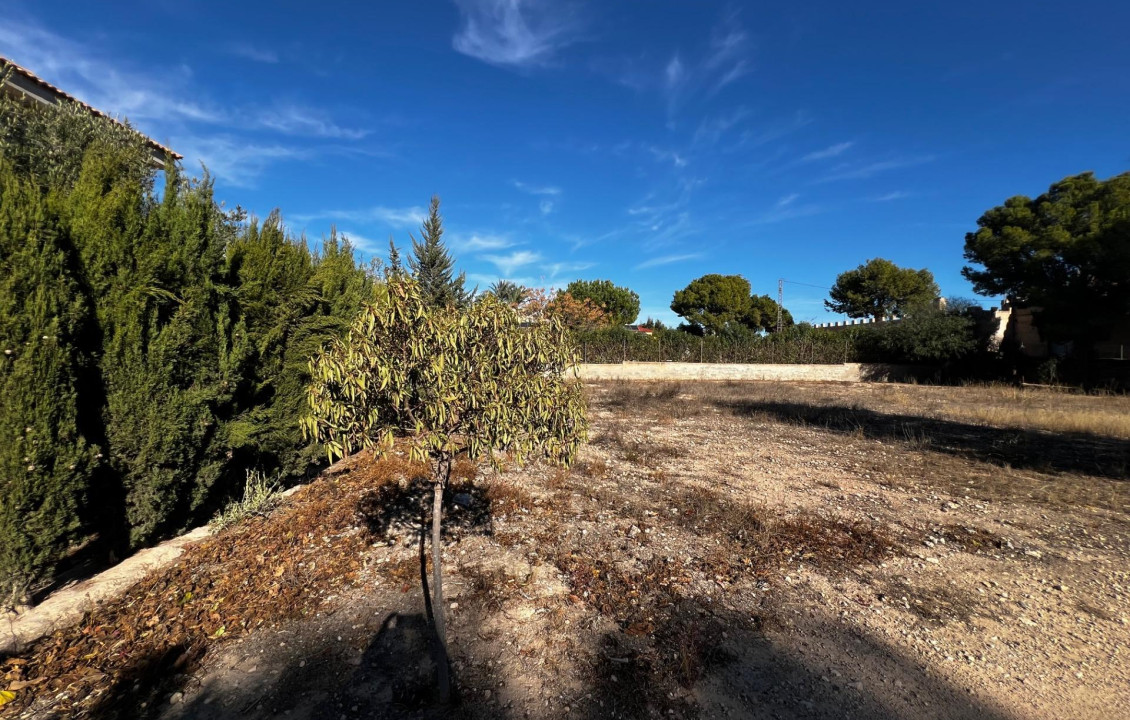 For Sale - Fincas y solares - Elche - Altabix