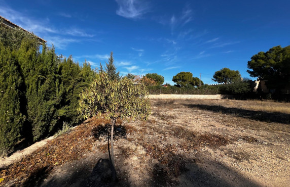 For Sale - Fincas y solares - Elche - Altabix