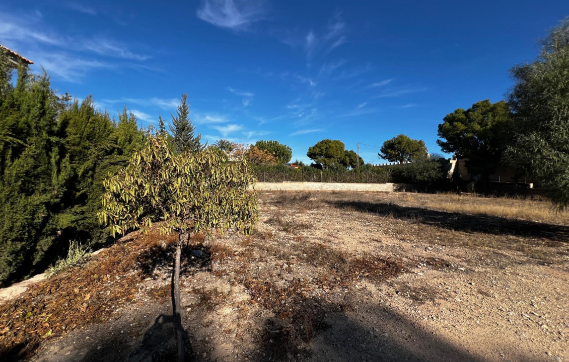 For Sale - Fincas y solares - Elche - Altabix